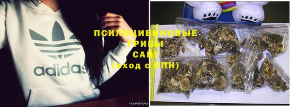 СК Лагань