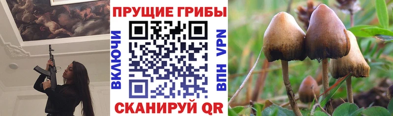 Псилоцибиновые грибы мицелий  Купить где  Арсеньев 
